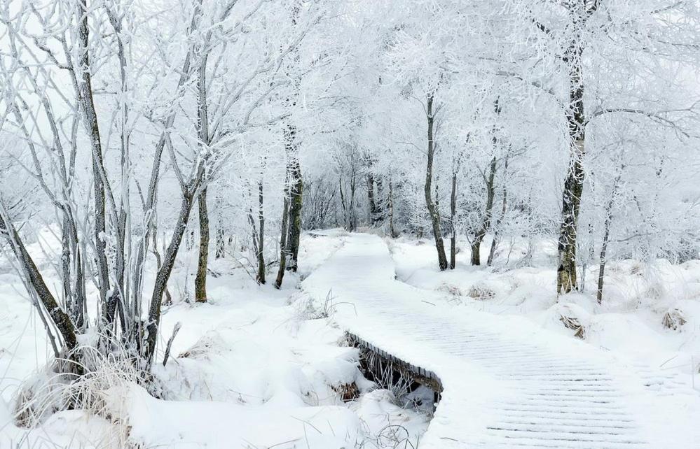 Vila Le Doux Ny Stoumont Exteriér fotografie